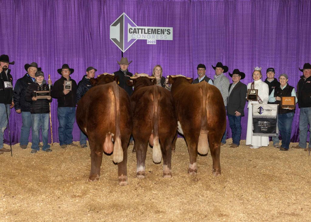 PEN-OF-THREE-HEREFORD-BULLS_GRAND-CHAMPION_BACKDROP