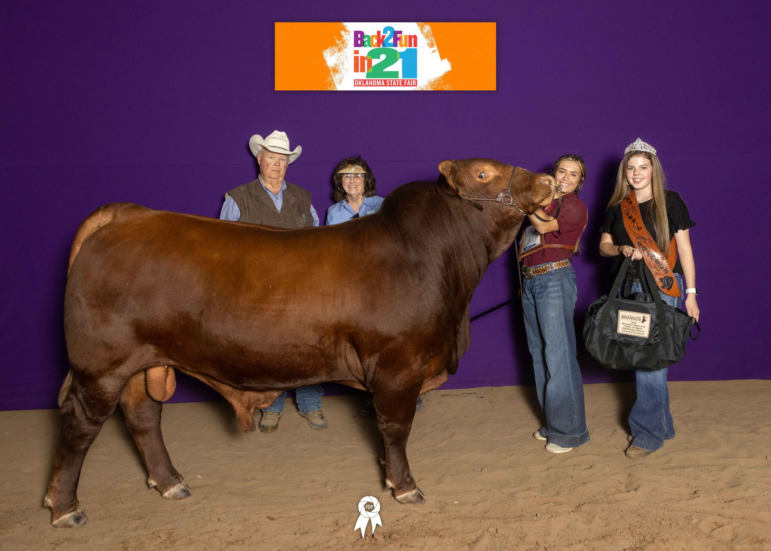 Brangus Champions | GKB Cattle - Herefords, Angus, Brangus & Brahman Cattle