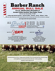GKB’s consignments in the Annual Barber Ranch Bull Sale – NOVEMBER 8, 2023