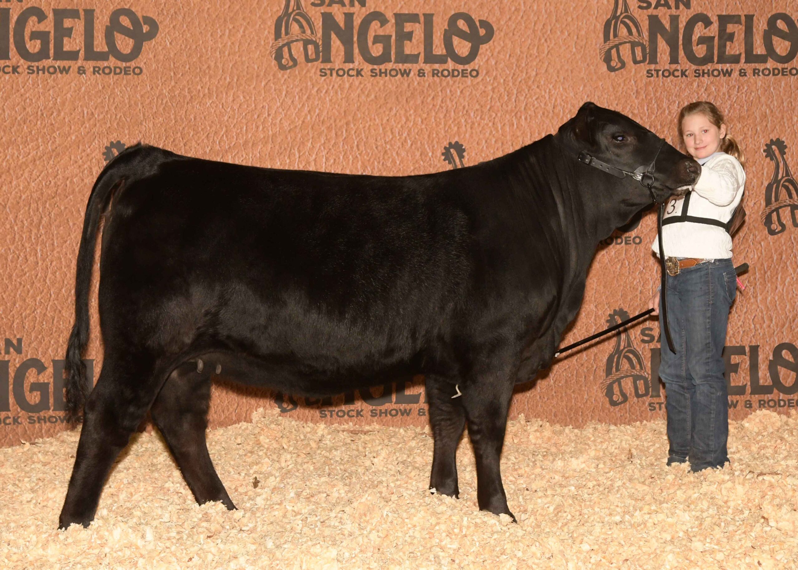 GKB Miss Holly 149E1 ET