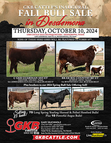 Fall Bull Sale | GKB Cattle - Herefords, Angus, Brangus & Brahman Cattle