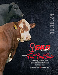 Inaugural Fall Bull Sale – October 10, 2024