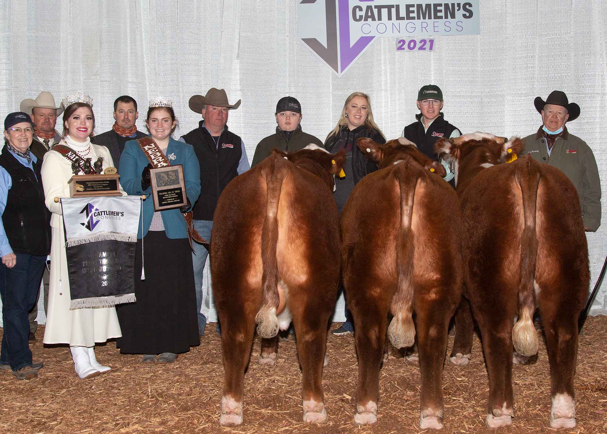 Pen of 3 Hereford Bulls