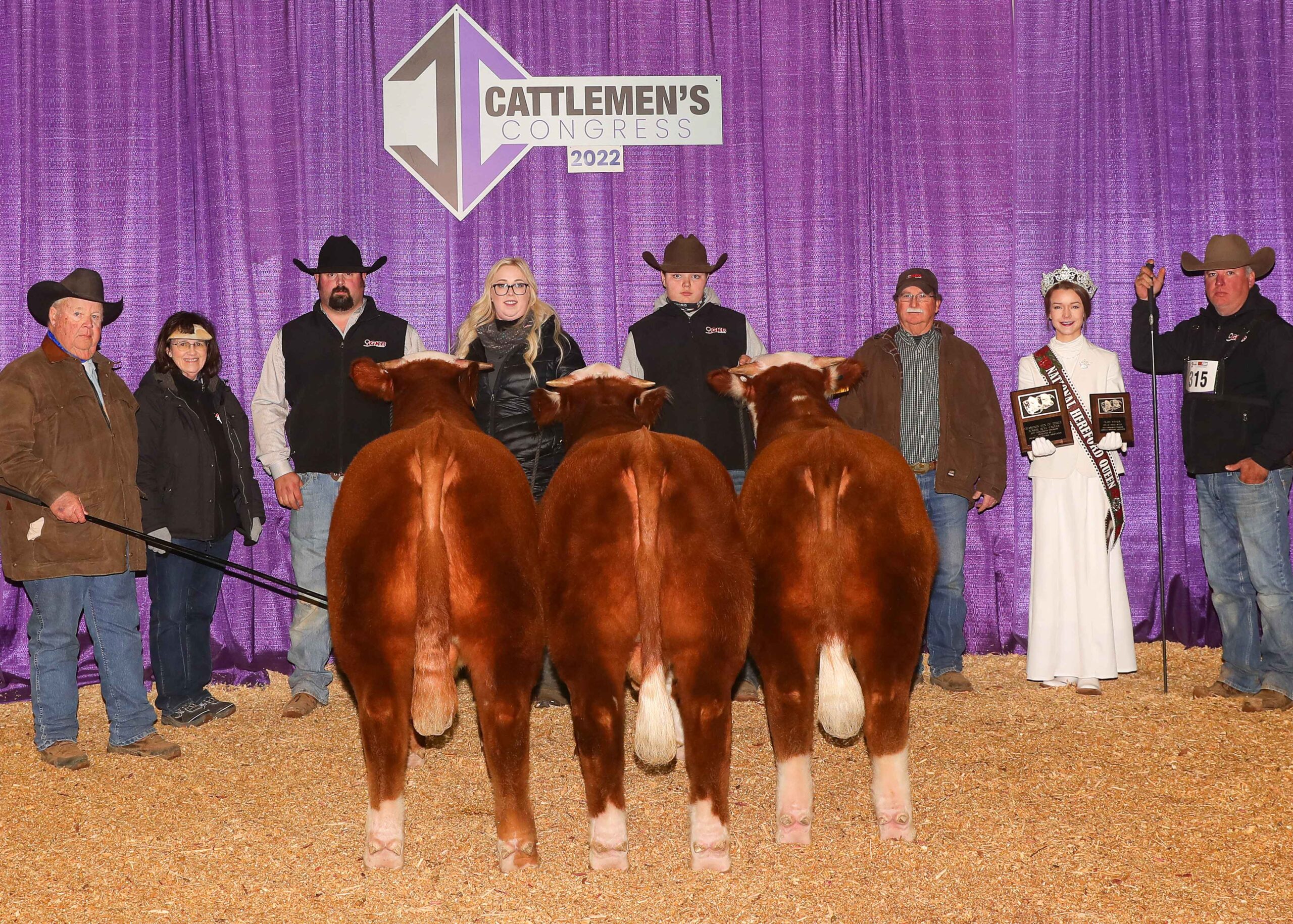 Pen of 3 Hereford Bulls