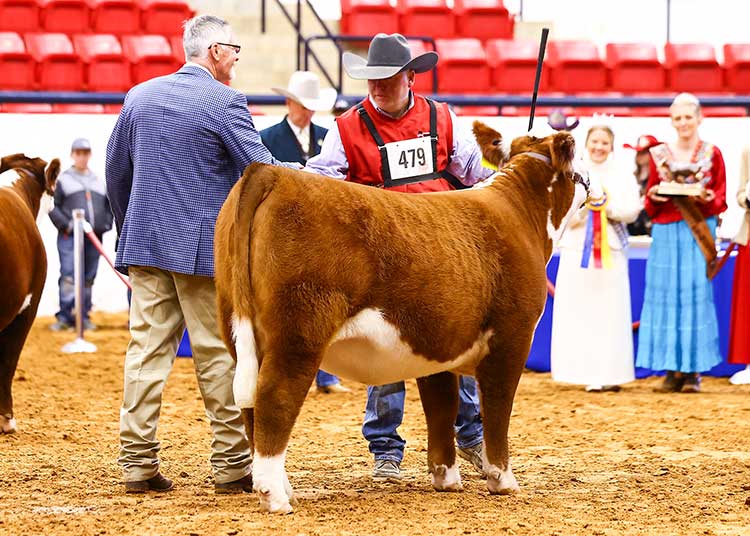 Premier Horned Hereford Breeder