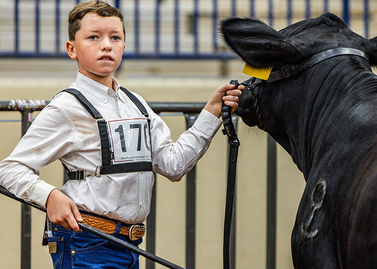 NOVICE SHOWMANSHIP