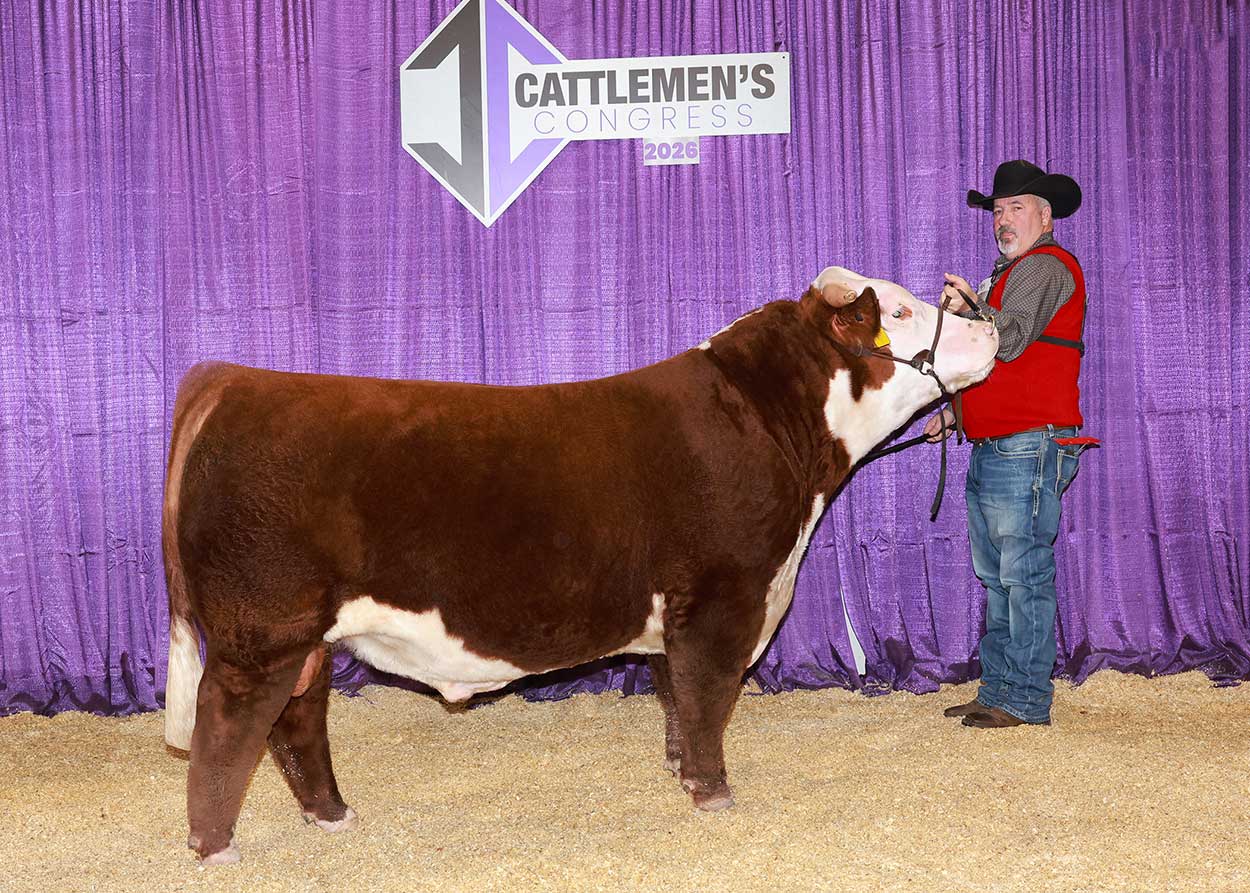 HAWK GKB BUCKLE UP 31M ET