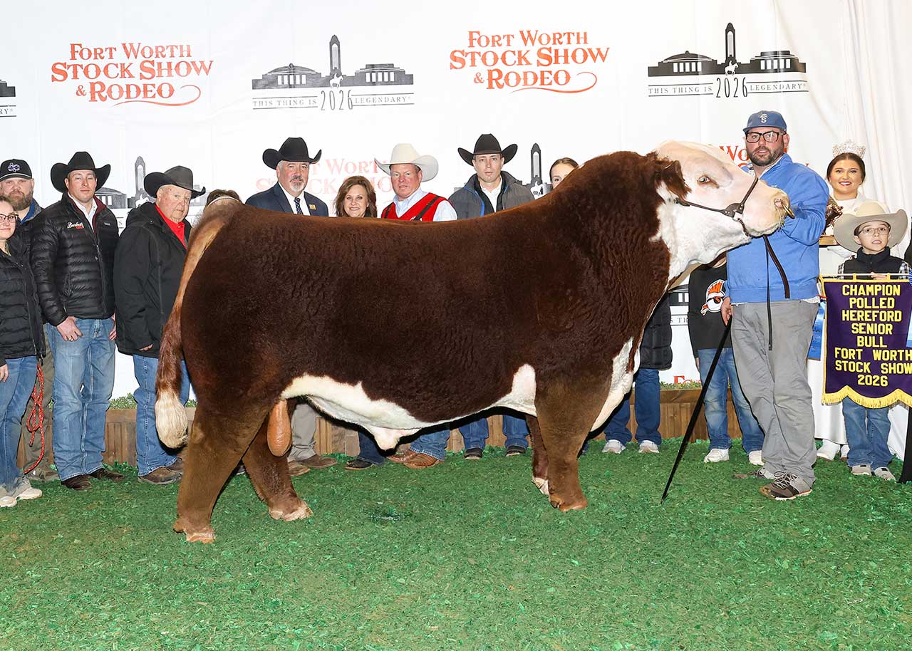 BR GKB LUCCHESE L177 ET