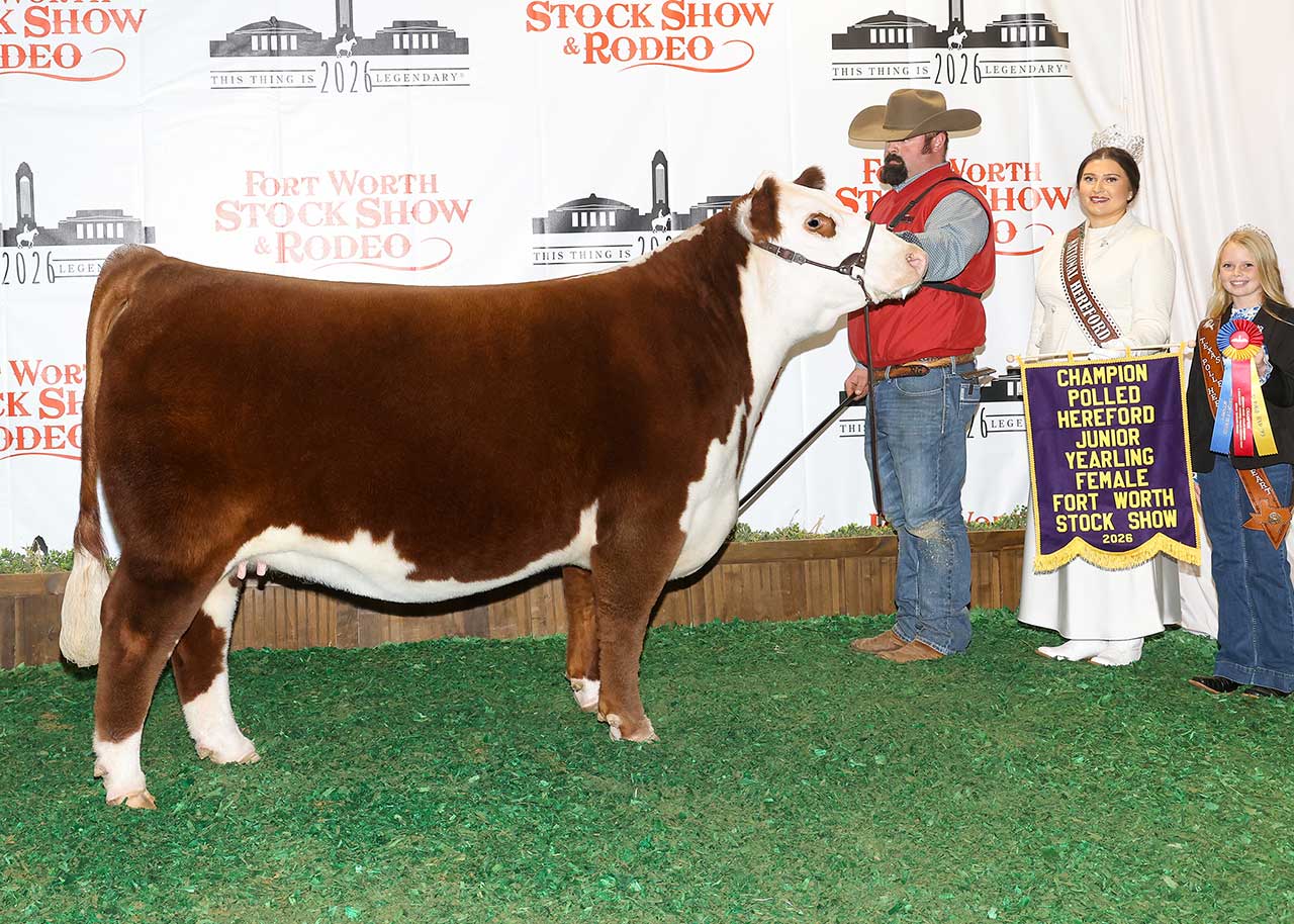 GKB 229G MIRAGE M113 ET