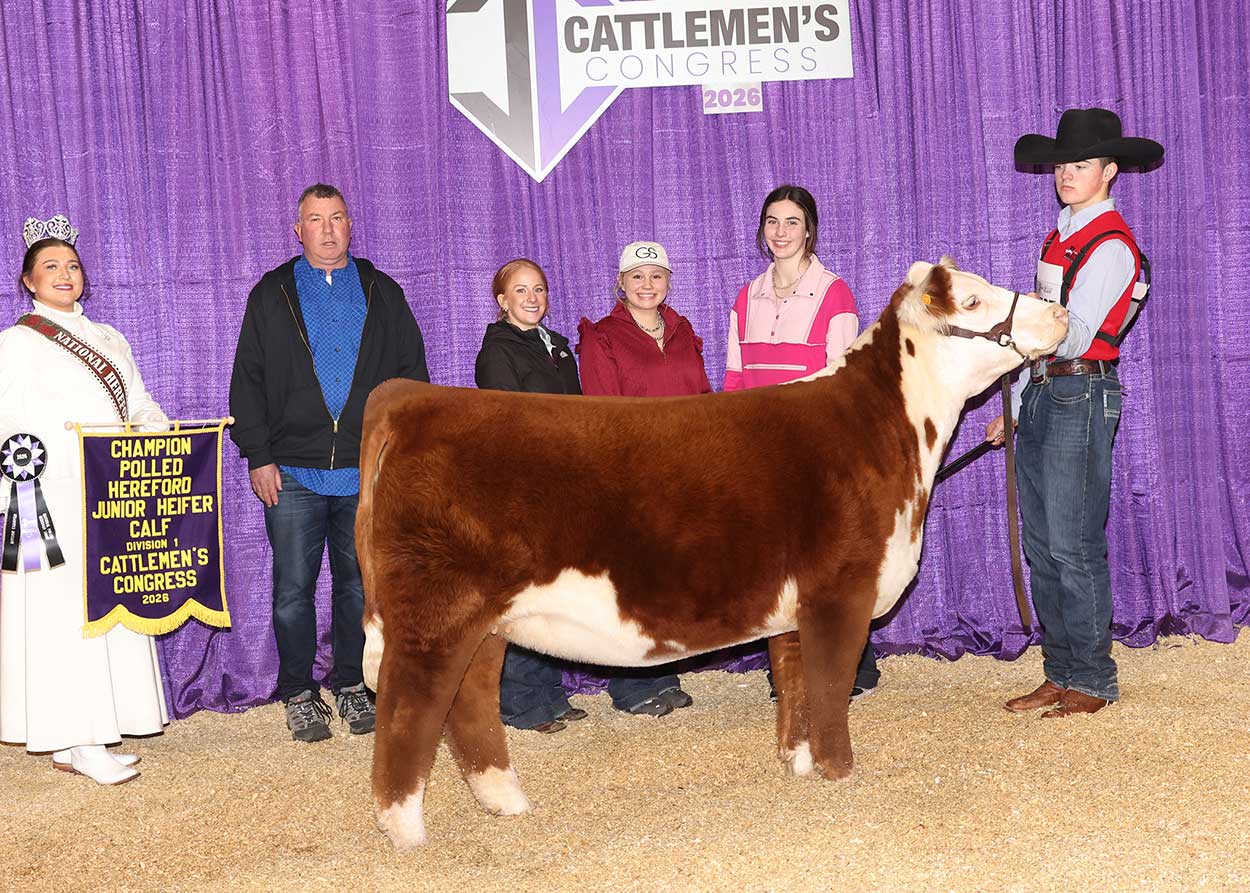 GS SWEET KNOCKOUT N09 ET