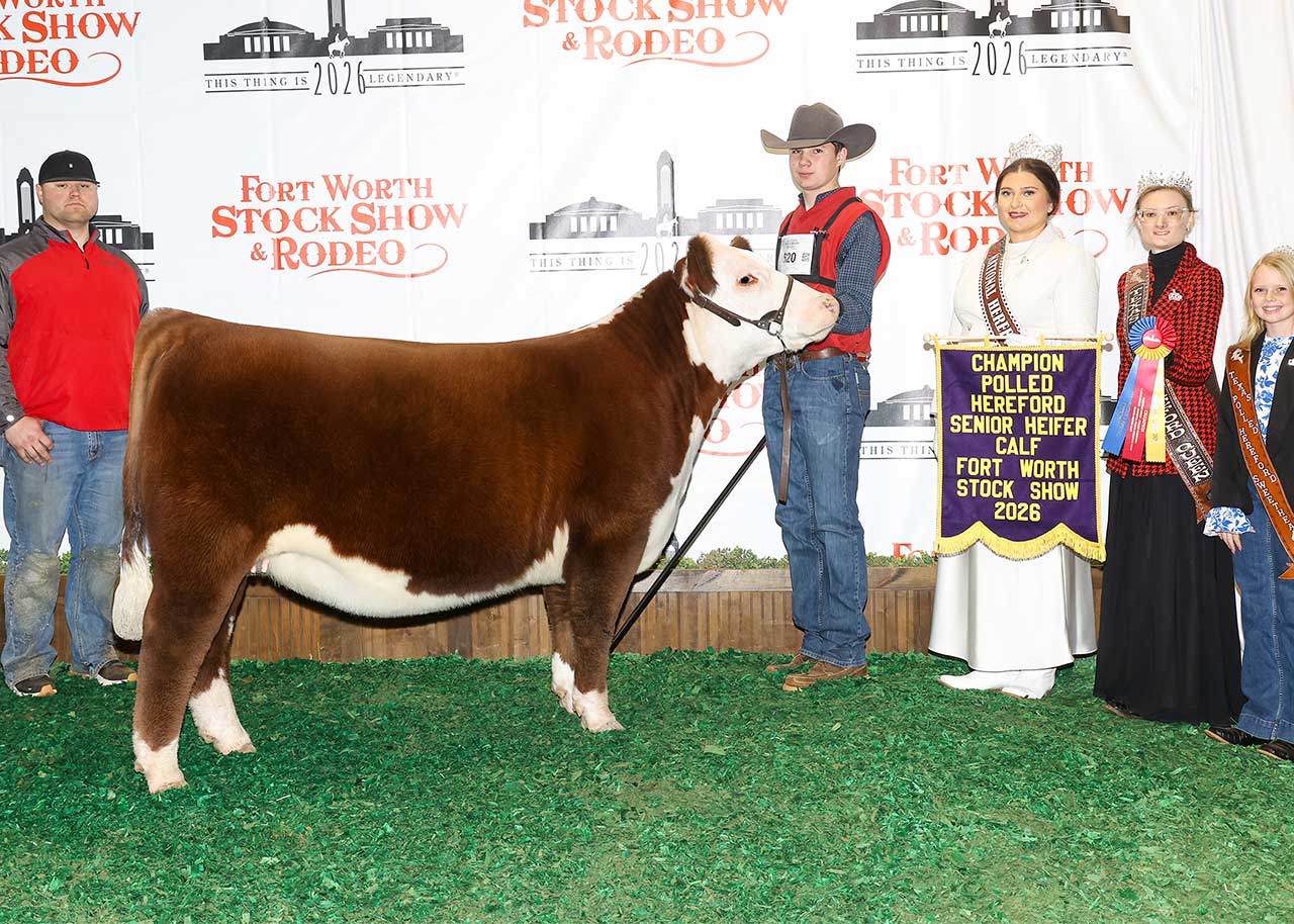 CHF BF JOYCELYN 4158 ET