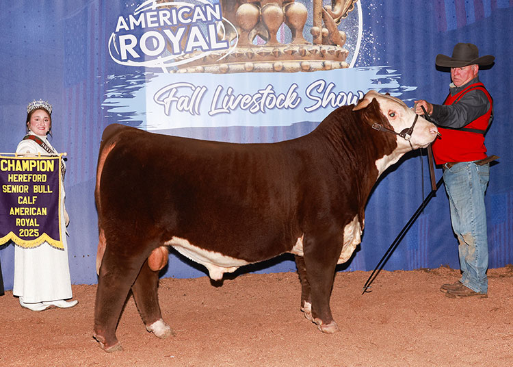 BF GKB 5502 MCCRAE 200M ET