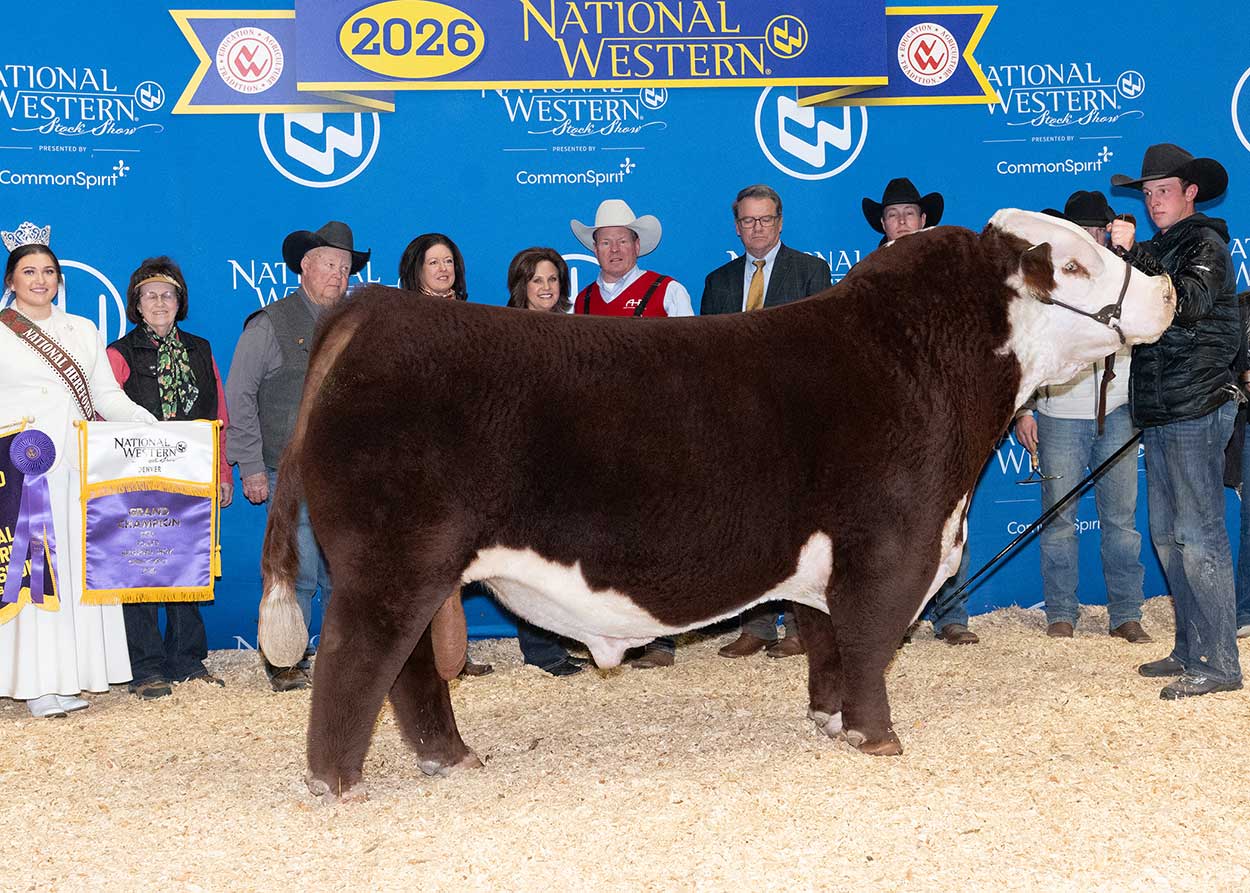 BR GKB LUCCHESE L17 ET