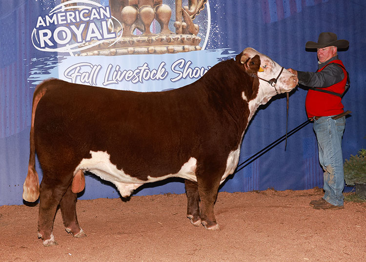 GKB PRCC GRAND PRIAIRE 4197