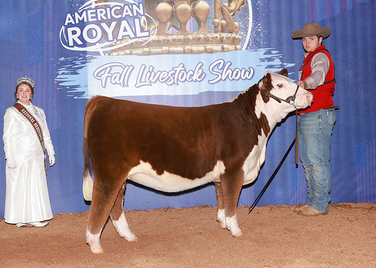 BF 5502 NOVEL 211M ET