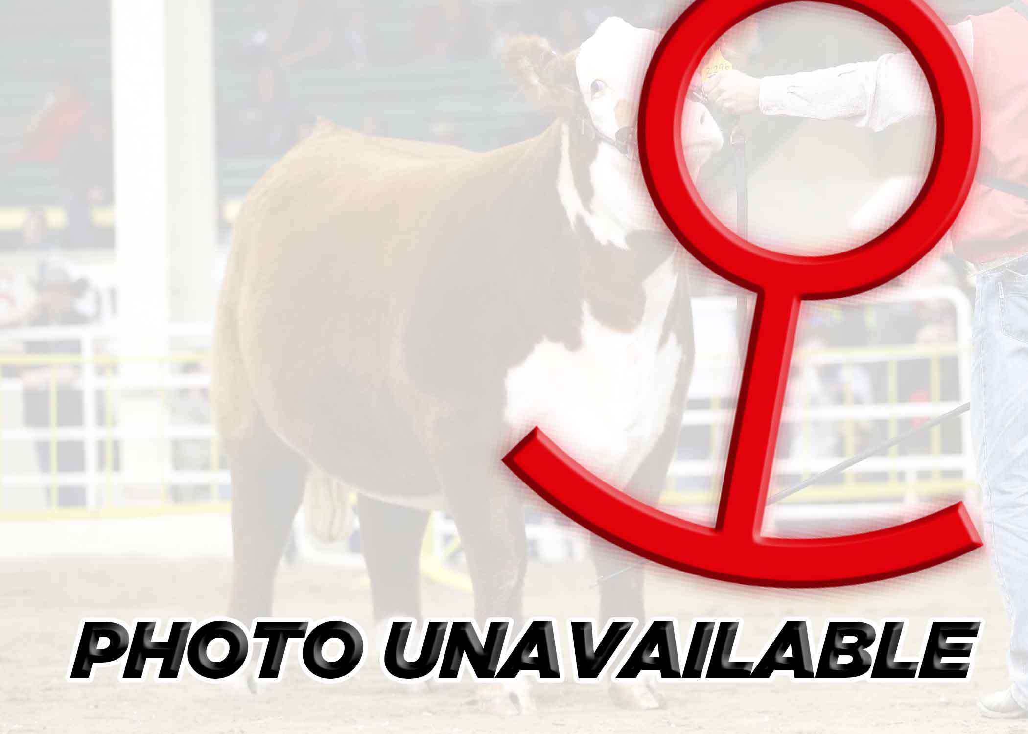 GKB K102 LADY HAWK 4044