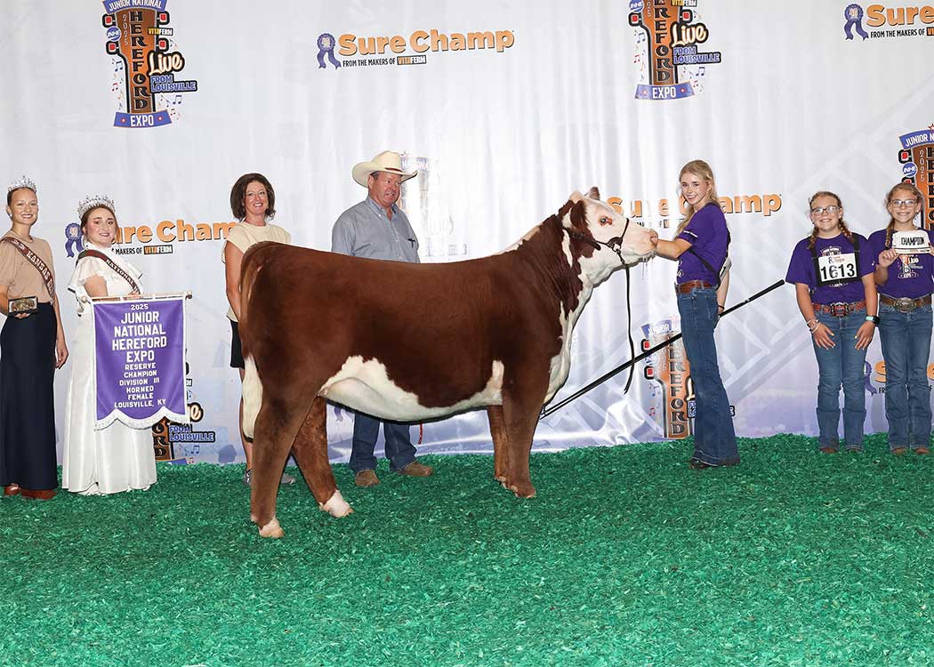 BR GKB MARIE M104 ET