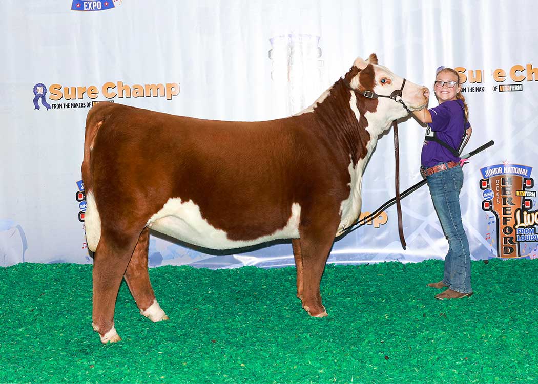 BR GKB MARIE M104 ET