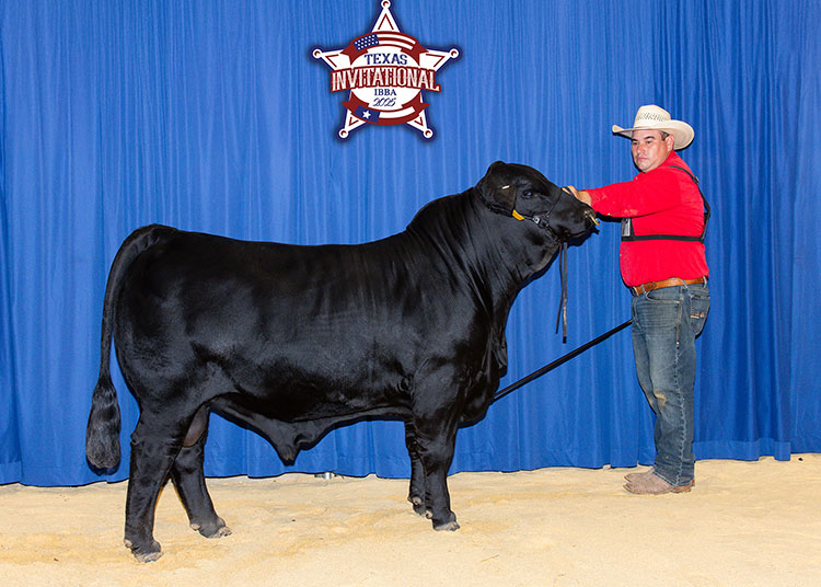 CCC GKB KILLIN TIME 924M