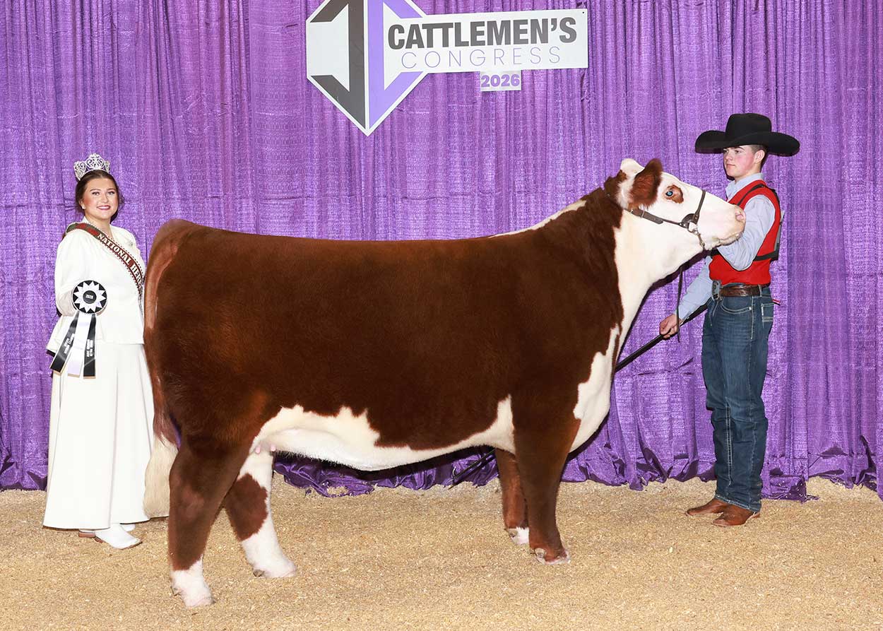 GKB 229G MIRAGE M113 ET