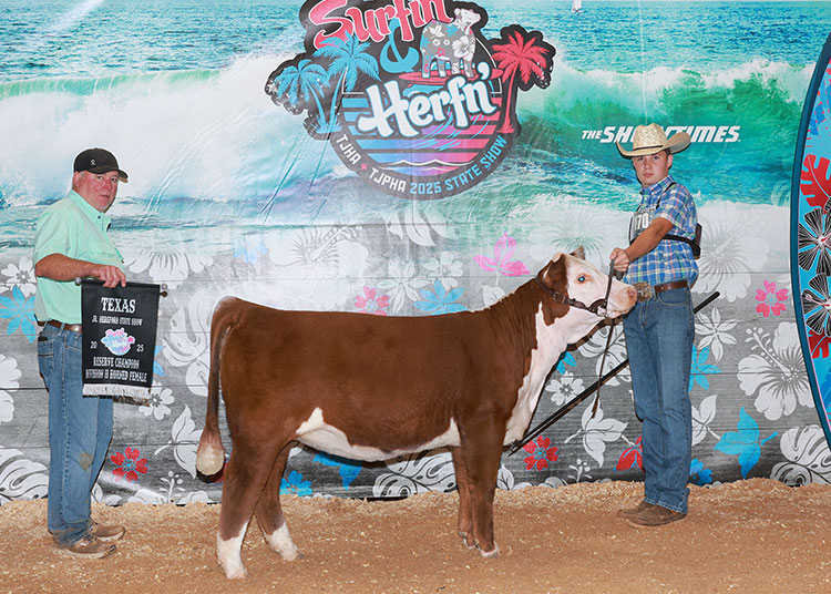 GKB K102 BRIELLE M178 ET