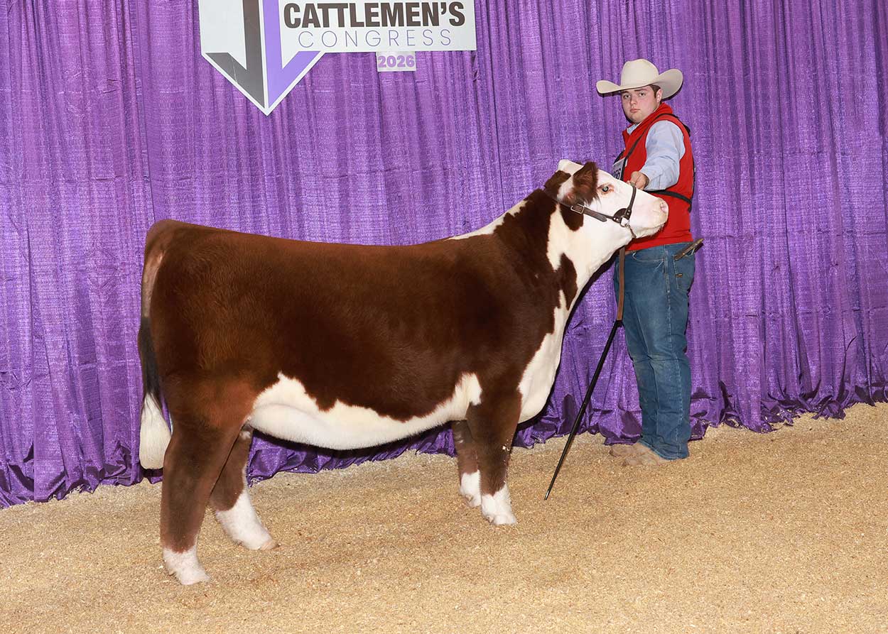 BF 5502 NOVEL 211M ET