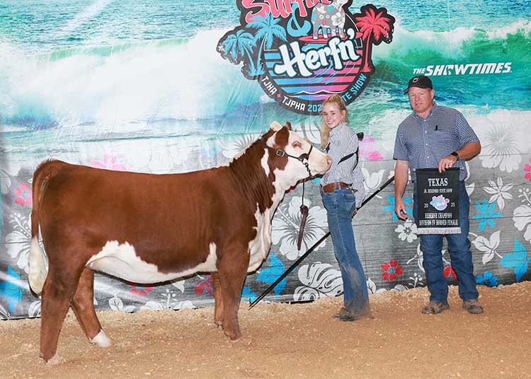 BR GKB MARIE M104 ET