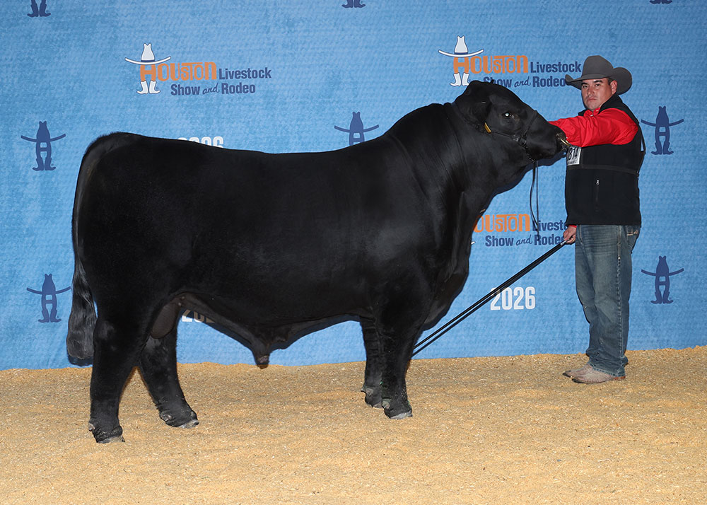 GKB THUNDER STRUCK 38M18