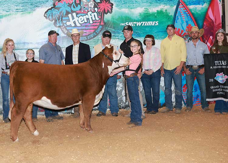 BR GKB SPARKS M177 ET