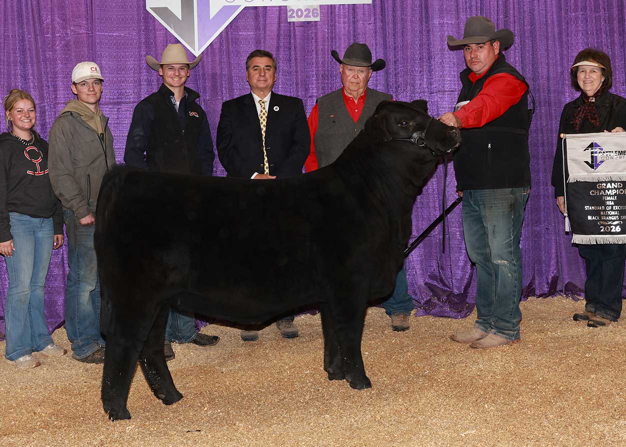 GKB STARSTRUCK 924N2