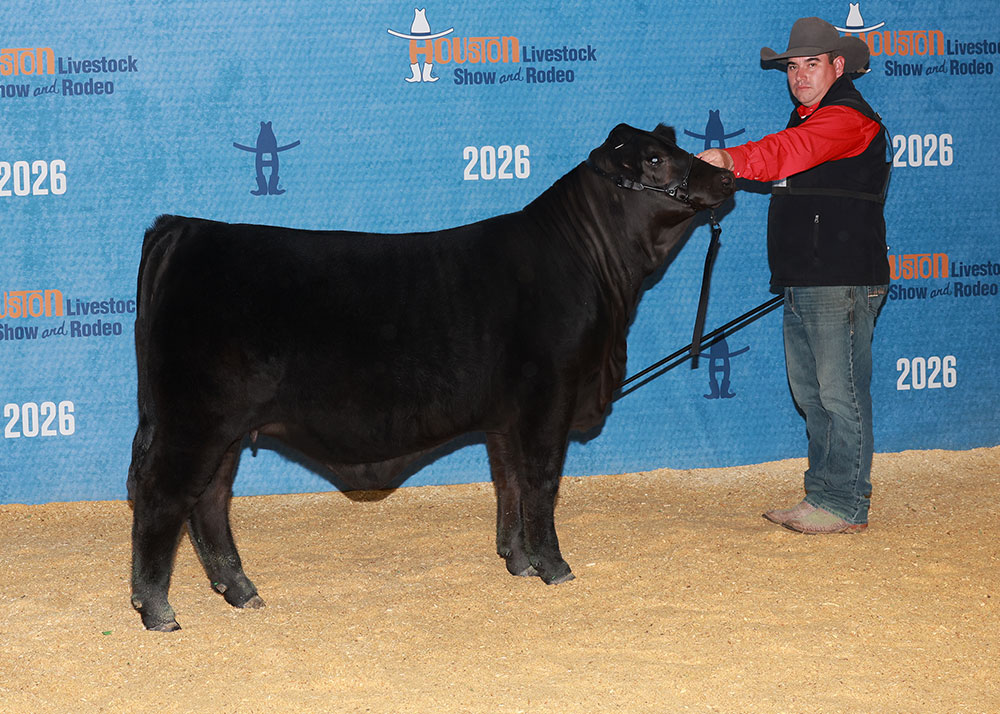 GKB MISS JESSICA 88N6