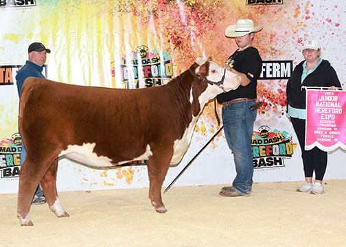 GKB GCC NOTICE ME 9401 2147