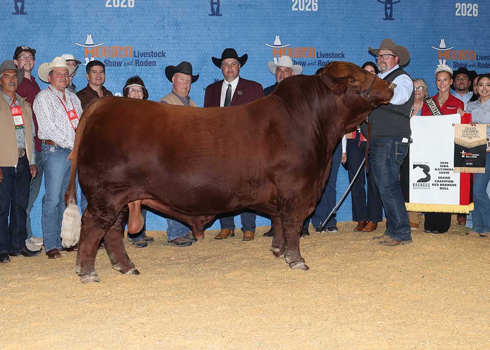 TAJO GHOST PEPPER 204L9