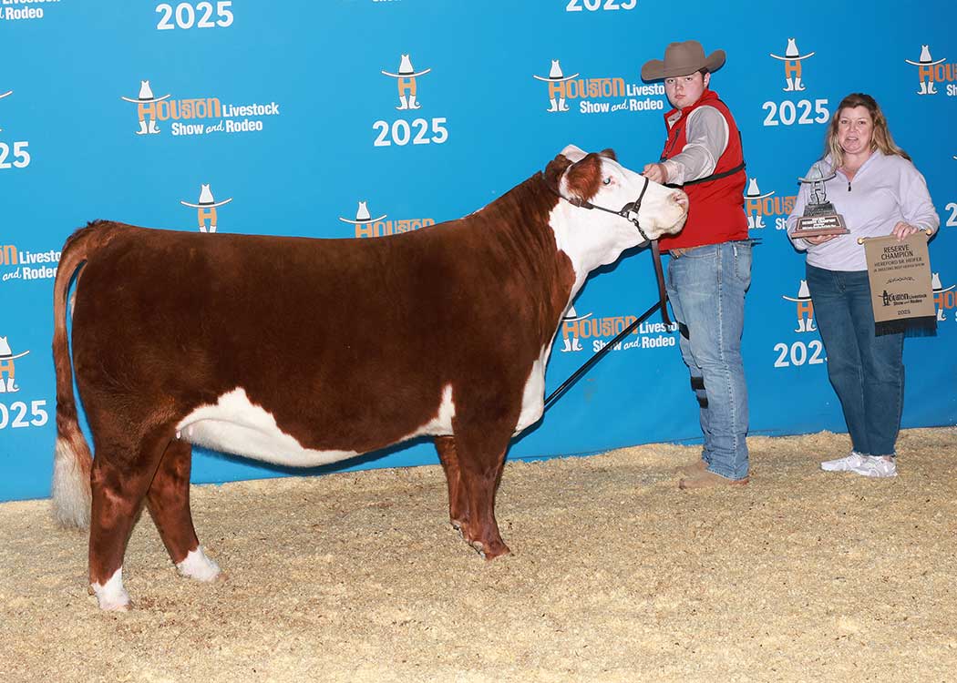 GKB MCKY ESTELLE 3204 ET