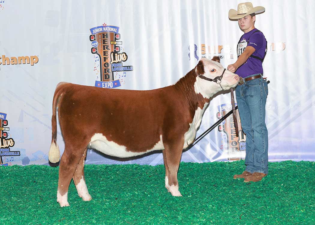 CHF BF JOYCELYN 4158 ET