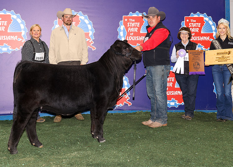 GKB STARSTRUCK 924N2