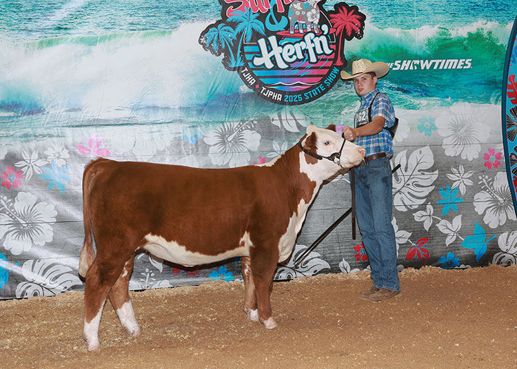 GKB 229G POKERFACE 4699