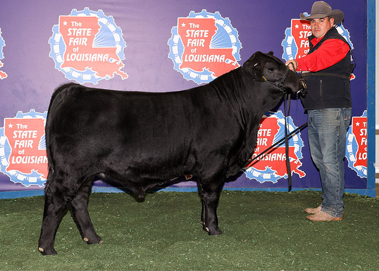 GKB PERFECT STORM 767N3