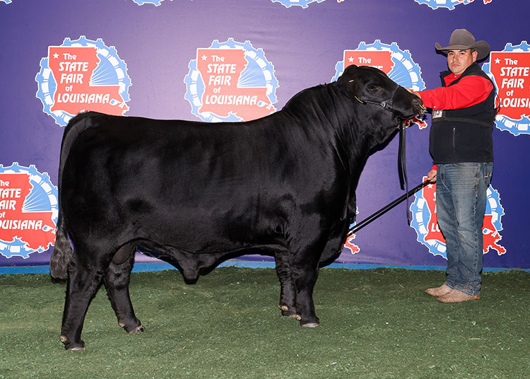 CCC GKB KILLIN TIME 924M