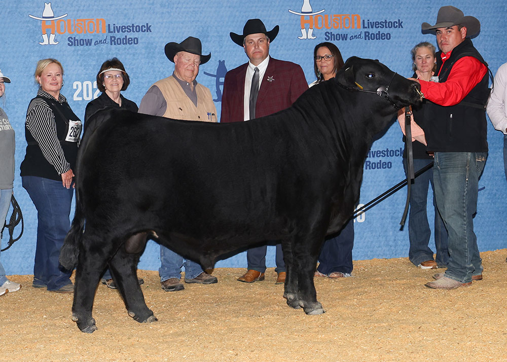 GKB PERFECT STORM 767N3