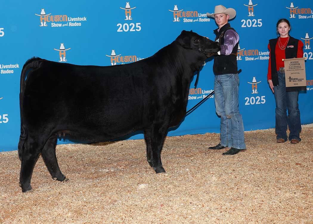 GKB TANKS LADY KESLEY 804L10