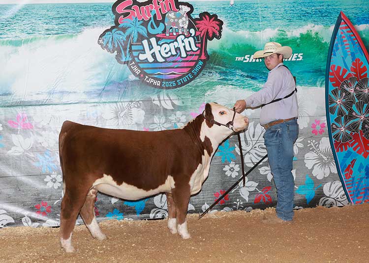 BF 0253 NOVEL 203M ET