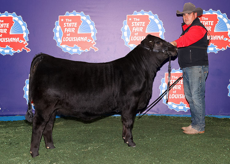 GKB TANKS LADY KATHY 149N5