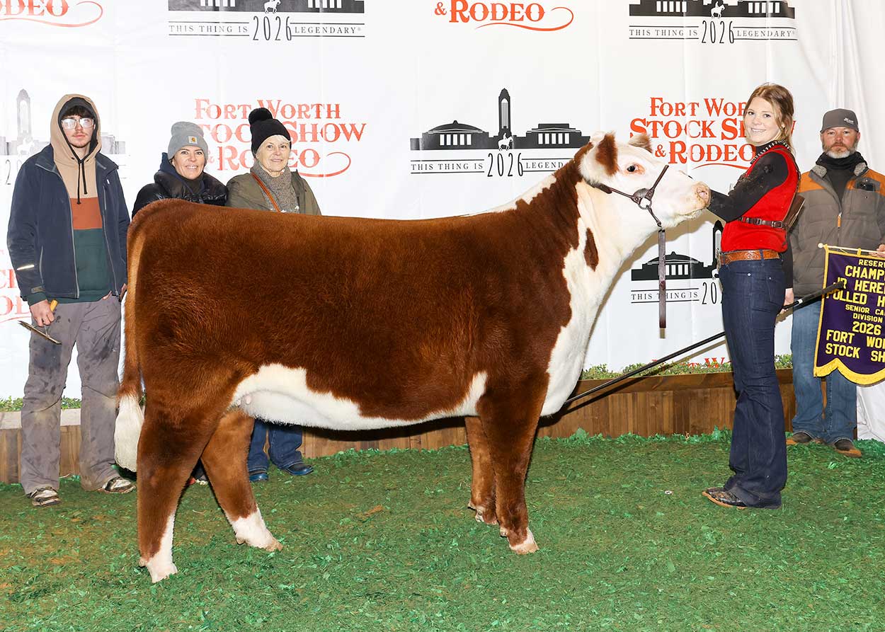 GKB D87 LILLIAN 4274