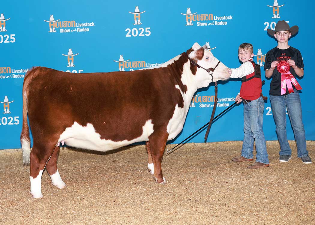 GKB J16 DIANA L110 ET