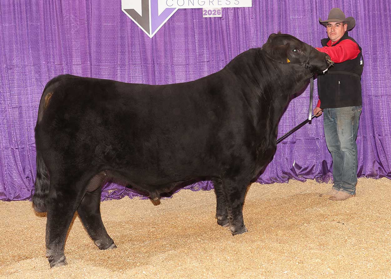 GKB THUNDER STRUCK 38M18