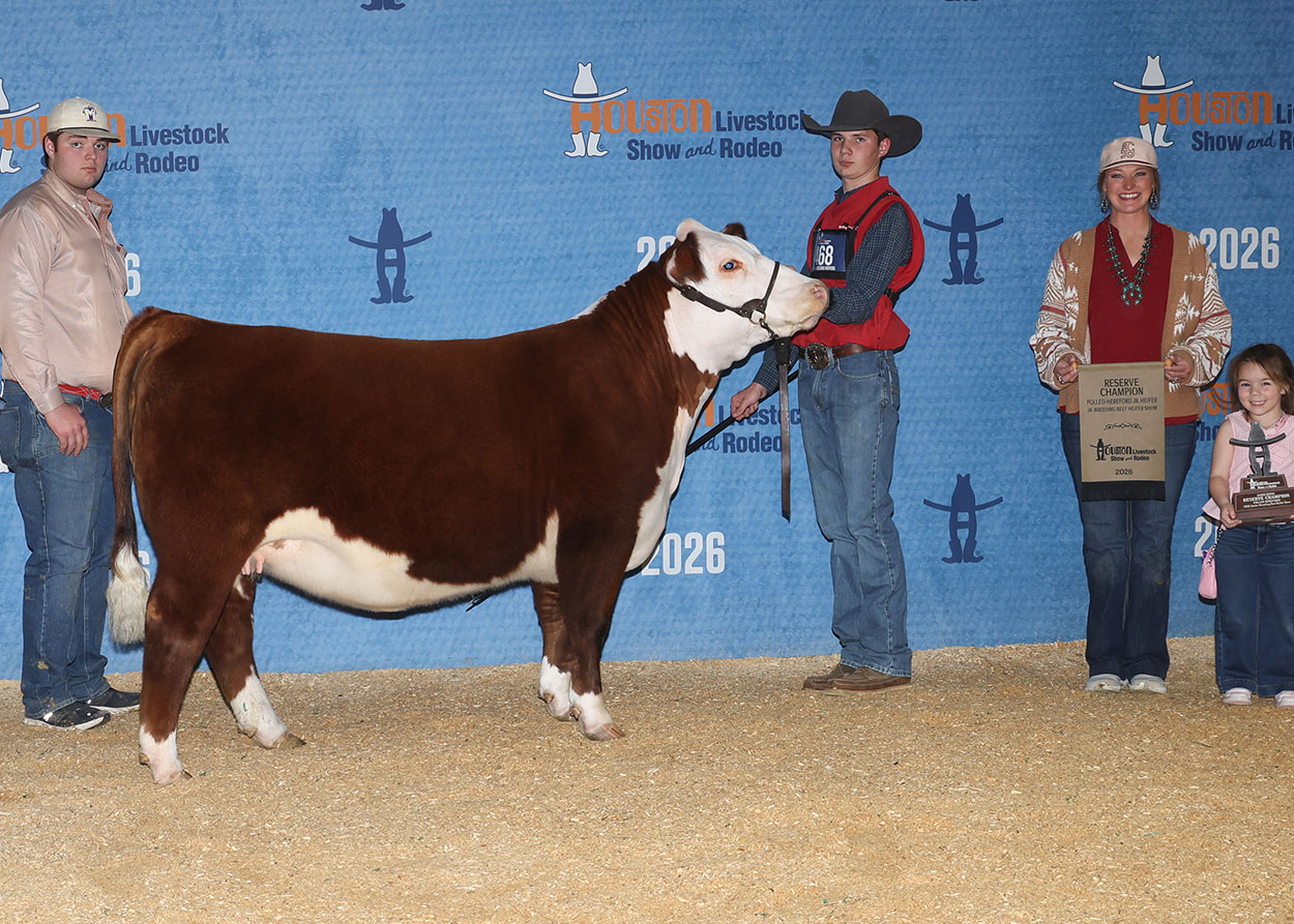 CHF BF JOYCELYN 4158 ET