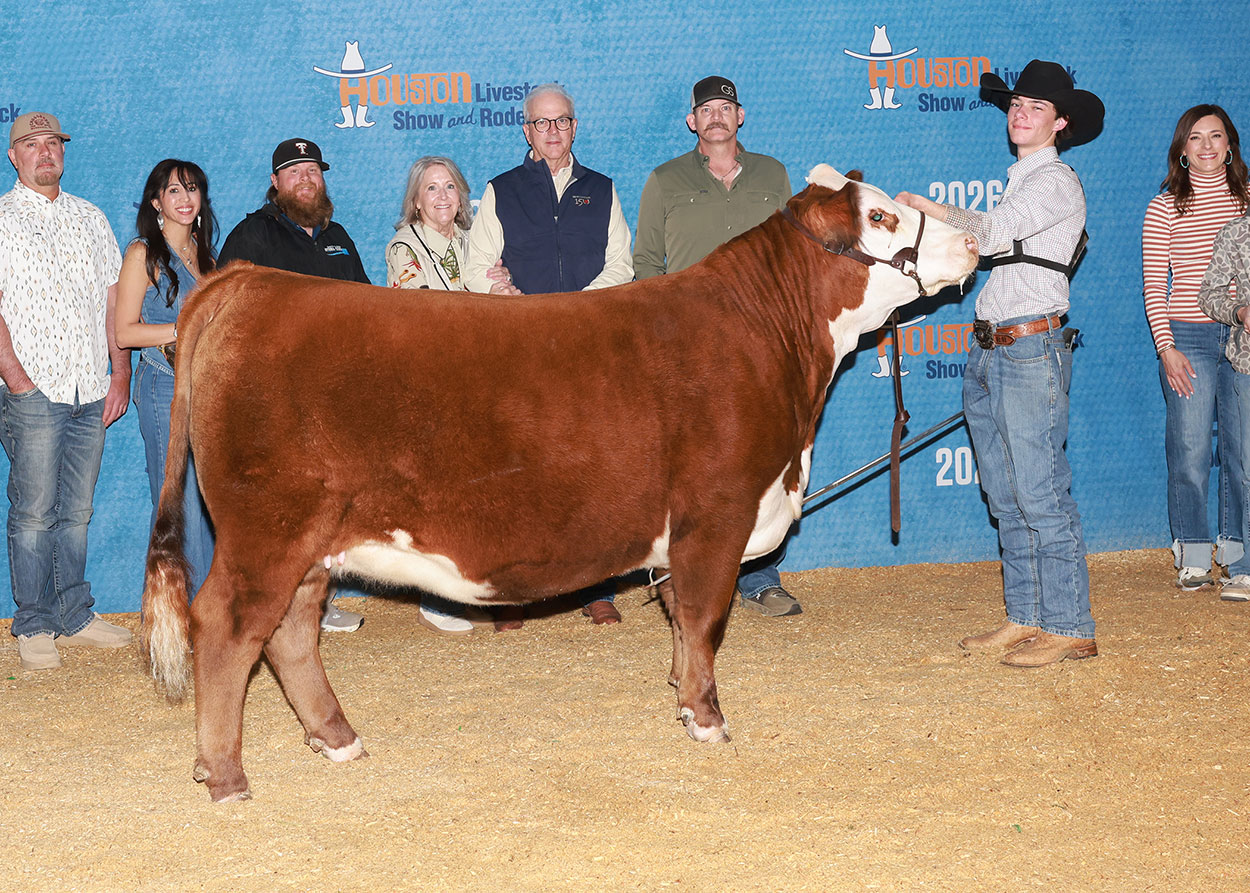 GKB D87 GOLDRIEL 4629