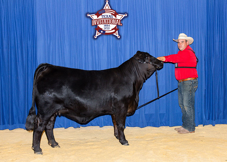 GKB MISS JESSICA 88L18