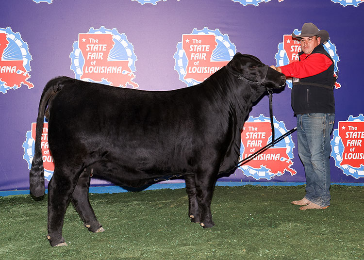 KK BEAUTIFUL THINGS 924M5